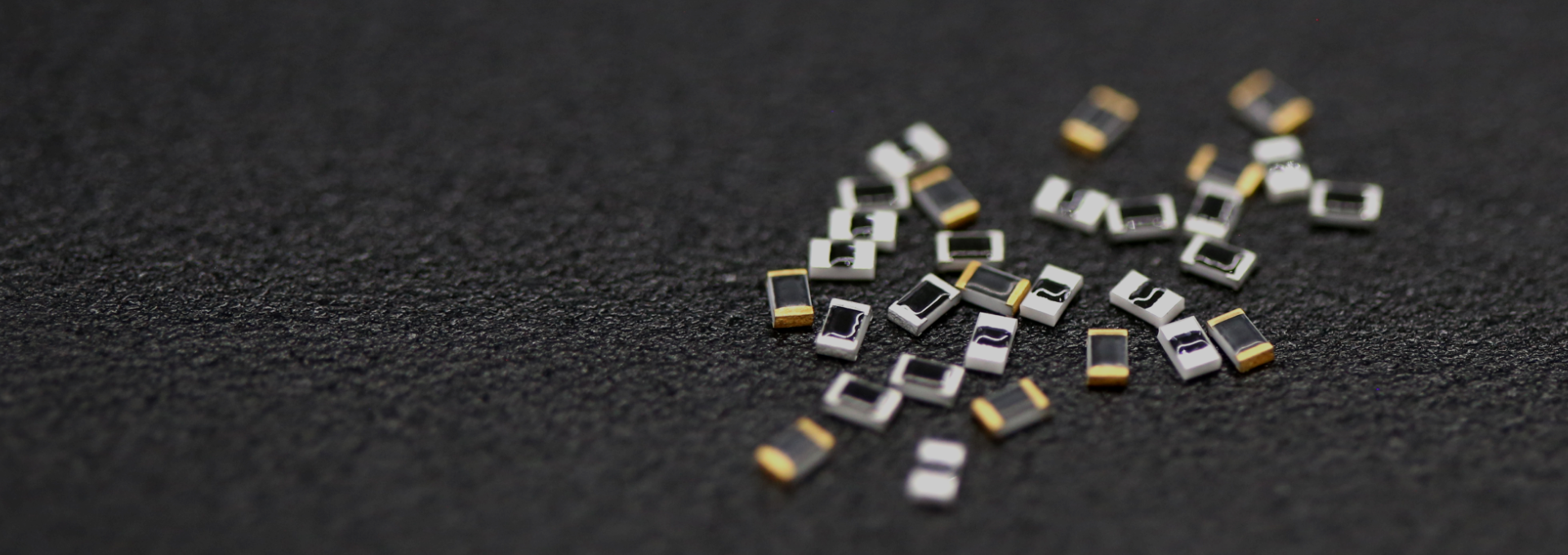 TATEYAMA TATEYAMAUSA Inc